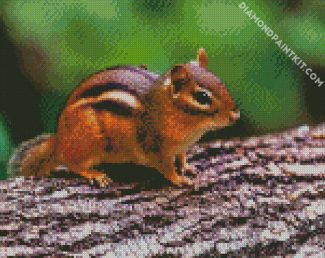 Aesthetic Brown Chipmunk diamond painting