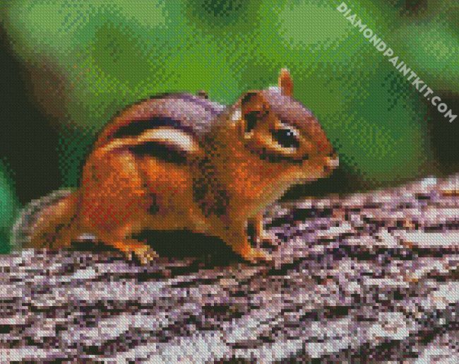 Aesthetic Brown Chipmunk diamond painting