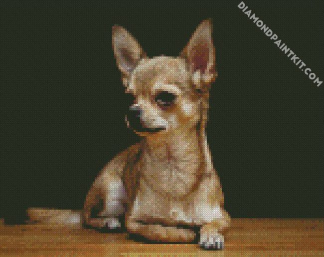 Aesthetic Chihuahua Dog diamond painting