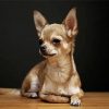 Aesthetic Chihuahua Dog diamond painting