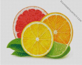 Aesthetic Citrus diamond painting