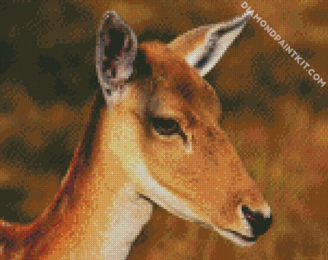 Aesthetic Doe diamond painting