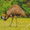 emu bird diamond paintings