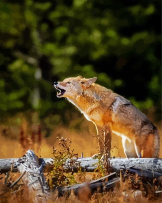 aesthetic howling Coyote diamond painting