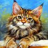 Aesthetic Maine Coon Cat diamond painting