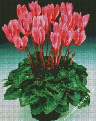 aesthetic pink cyclamen diamond paintings