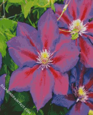 Aesthetic Purple Clematis diamond painting