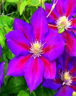 Aesthetic Purple Clematis diamond painting