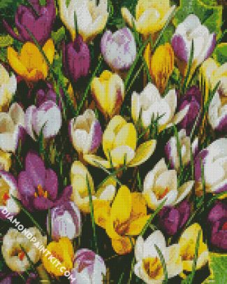 Aesthetic Whitewell Purple Crocus diamond painting