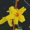 Aesthetic Yellow Forsythia diamond painting