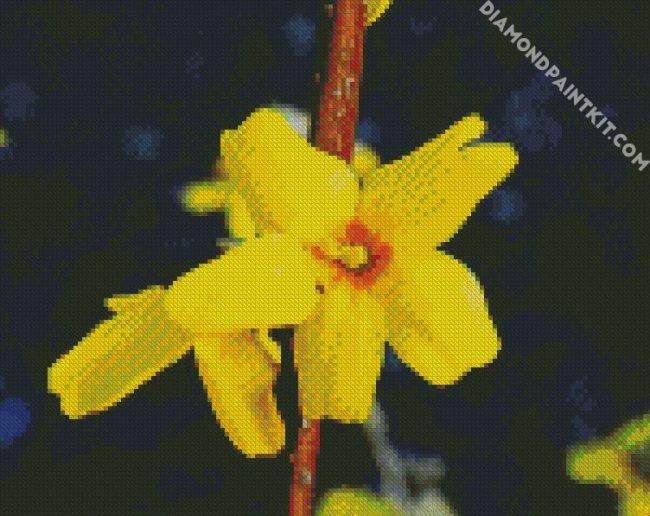 Aesthetic Yellow Forsythia diamond painting