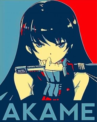 akame ga kill anime diamond paintings