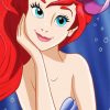 Ariel diamond painting