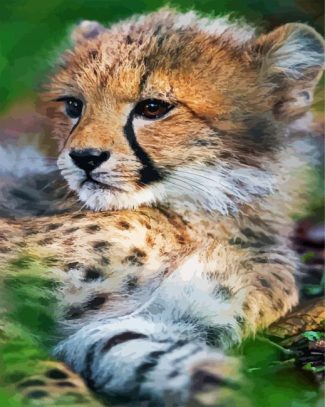 Baby Cheetah Cub diamond painting