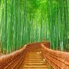 bamboo Forest diamond painting