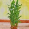 bamboo Plant Pot diamond paintings