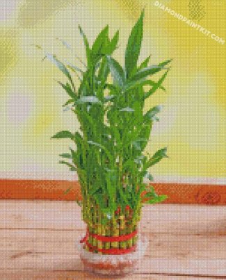 bamboo Plant Pot diamond paintings