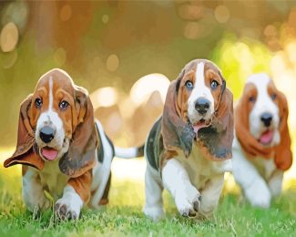 basset hound Puppies diamond painting