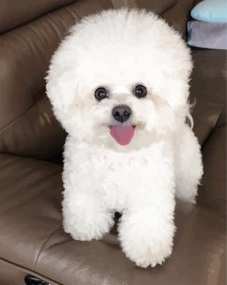 Bichon Frise diamond painting