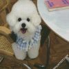 Bichon Wearing A Cute Dress diamond painting