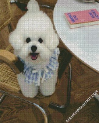 Bichon Wearing A Cute Dress diamond painting