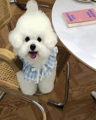 Bichon Wearing A Cute Dress diamond painting