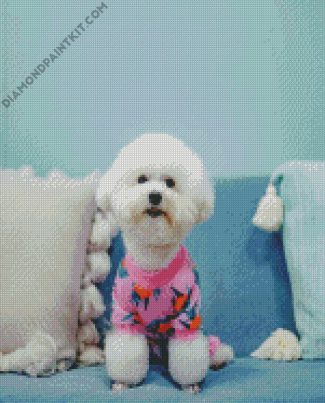 Bichon Wearing Pajamas diamond painting