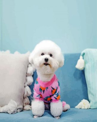 Bichon Wearing Pajamas diamond painting