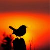 bird silhouette diamond painting