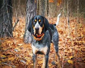 black Coonhound dog diamond painting