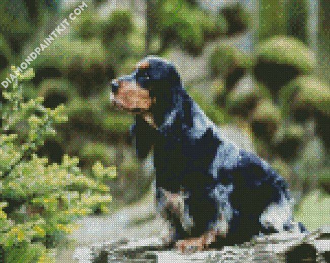 black English Cocker Spaniel diamond paintings