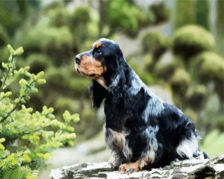 black English Cocker Spaniel diamond painting