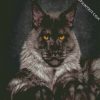 Black And Grey Maine Coon diamond painting