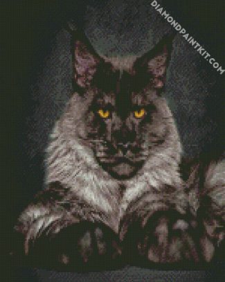 Black And Grey Maine Coon diamond painting