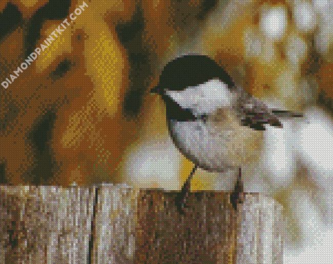 Black And White Chickadee diamond painting