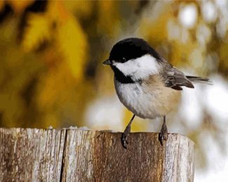 Black And White Chickadee diamond painting