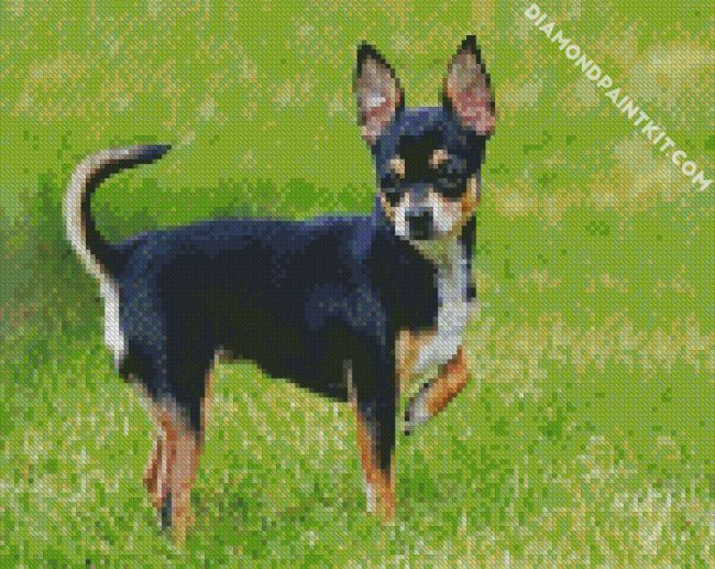 Black Chihuahua diamond painting