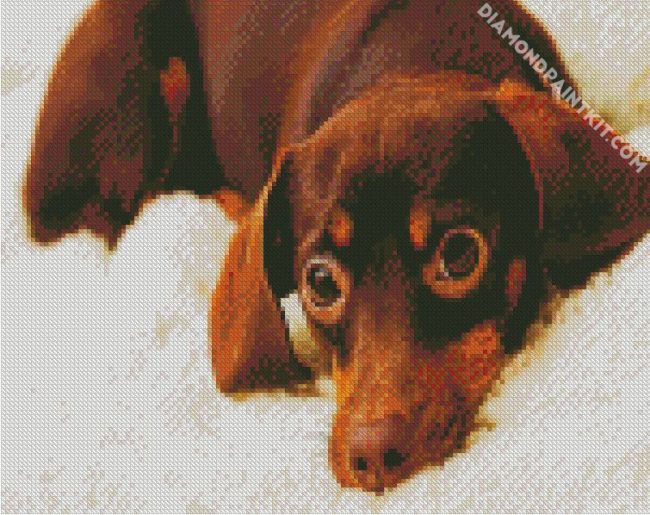 Brown Chiweenie diamond painting