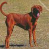 brown Coonhound diamond paintings