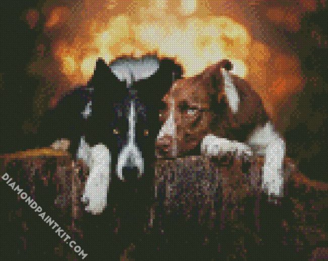 brown and black collies diamond paintings