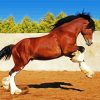 Brown Clydesdale diamond painting