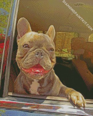 Brown Frenchie Bulldog diamond painting