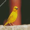 canary Bird diamond paintings