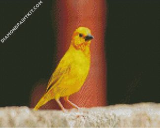 canary Bird diamond paintings