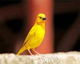 canary Bird diamond painting