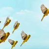 canary Birds Flock diamond painting