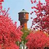 cherry blossom Wasserturm Elmshorn diamond painting