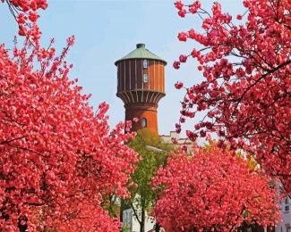 cherry blossom Wasserturm Elmshorn diamond painting