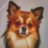 chihuahua Dog diamond paintings