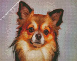 chihuahua Dog diamond paintings